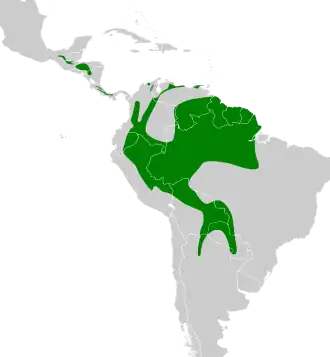 Description de l'image Dendrocolaptes picumnus map.svg.