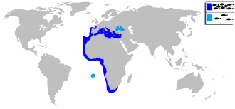 Description de l'image Diplodus sargus sargus mapa.svg.