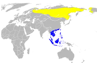 Description de l'image Distribution map for Phylloscopus borealis (pacific centered).svg.