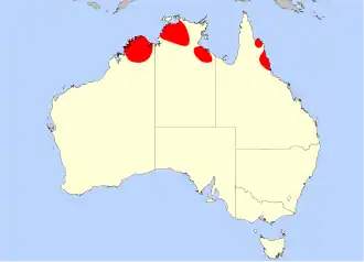 Description de l'image Drosera_banksii.svg.