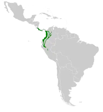 Description de l'image Eutoxeres aquila map.svg.