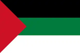 Description de l'image Flag of Hejaz (1917).svg.