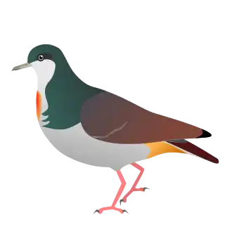 Description de cette image, également commentée ci-après