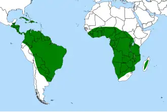 Description de l'image Genlisea_distribution.svg.