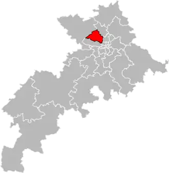 Canton de Blagnac