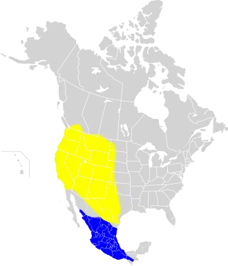 Description de l'image Icterus bullockii map.svg.
