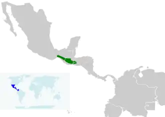 Description de l'image Icterus maculialatus map.svg.