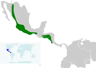 Description de l'image Icterus pustulatus map.svg.