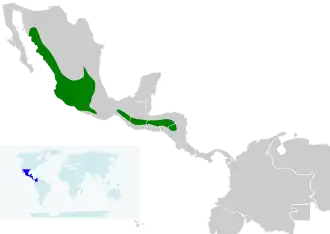 Description de l'image Icterus wagleri map.svg.