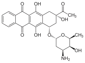 Image illustrative de l’article Idarubicine