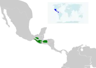 Description de l'image Lampornis viridipallens map.svg.