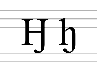 Image illustrative de l’article Ꜧ