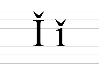 Image illustrative de l’article Ǐ