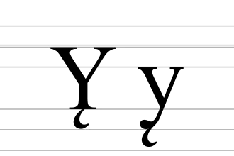 Image illustrative de l’article Y̨
