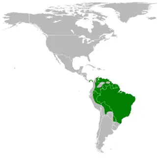 Description de cette image, également commentée ci-après