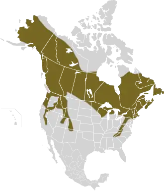 Description de l'image Lepus americanus map.svg.