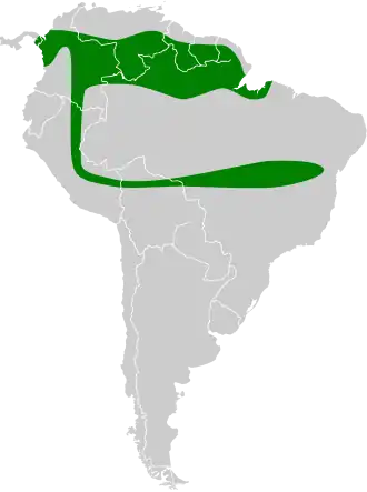 Description de l'image Lionycteris spurrelli map.svg.