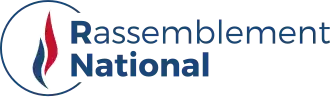 Image illustrative de l’article Rassemblement national