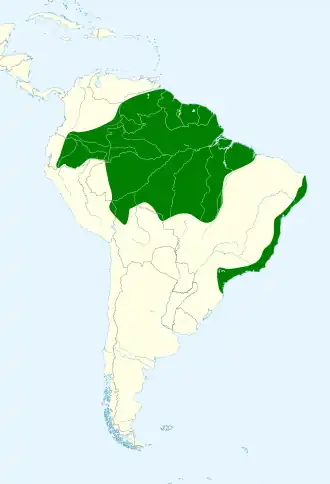 Description de l'image Loriotus cristatus map.svg.