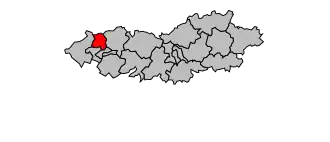 Canton de Flers-Nord