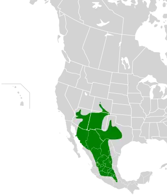 Description de l'image Melozone fusca map.svg.