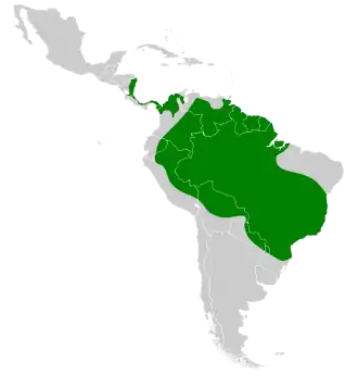 Description de l'image Mesembrinibis cayennensis map.svg.