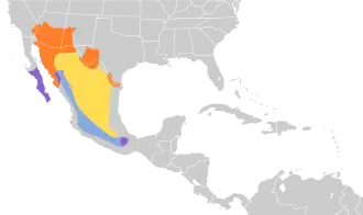Description de l'image Micrathene whitneyi map.svg.
