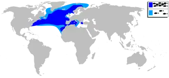 Description de l'image Micromesistius poutassou mapa.svg.