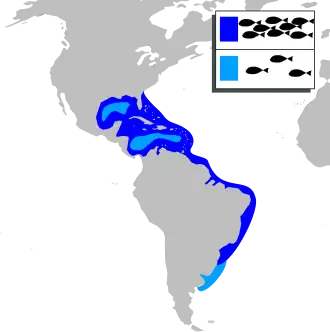 Description de l'image Mugil liza mapa.svg.