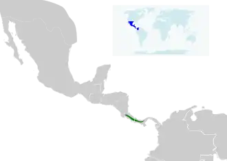 Description de l'image Myioborus torquatus map.svg.