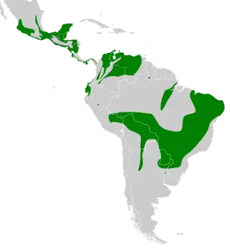 Description de l'image Myiopagis viridicata map.svg.