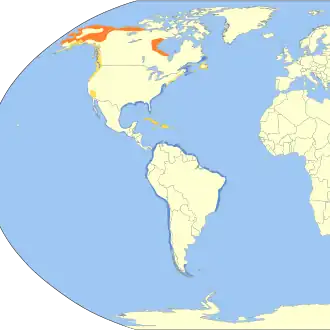 Description de l'image Numenius hudsonicus map.svg.