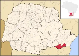 Microrégion du Rio Negro (Paraná)