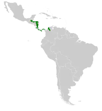 Description de l'image Phaeochroa cuvierii map.svg.