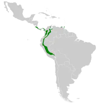 Description de l'image Phaethornis guy map.svg.