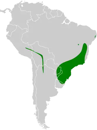 Description de l'image Poecilotriccus plumbeiceps map.svg.