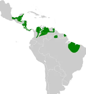 Description de l'image Poecilotriccus sylvia map.svg.