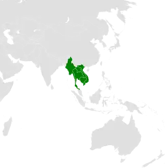 Description de cette image, également commentée ci-après