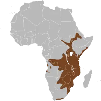 Description de l'image Potamochoerus larvatus map.svg.