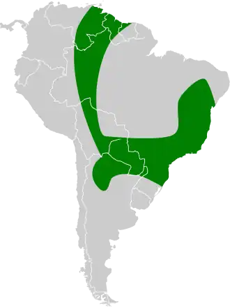 Description de l'image Promops nasutus map.svg.