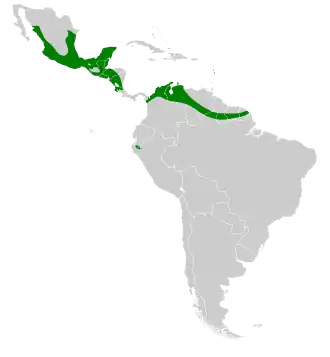 Description de l'image Pteronotus davyi map.svg.