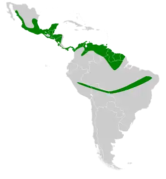 Description de l'image Pteronotus personatus map.svg.