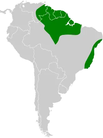 Description de l'image Rhynchocyclus olivaceus map 2.svg.