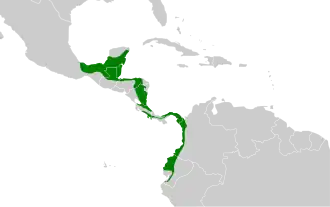 Description de l'image Schiffornis veraepacis map.svg.