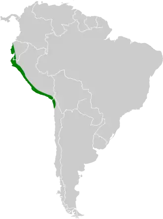 Description de l'image Sturnella bellicosa map.svg.