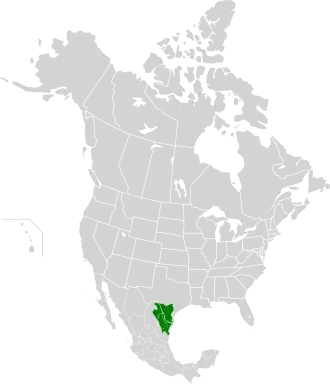 Description de l'image Tamaulipan Mezquital map.svg.