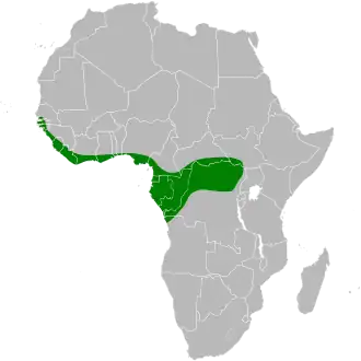 Description de l'image Tigriornis leucolopha map.svg.