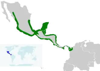 Description de l'image Tigrisoma mexicanum map.svg.