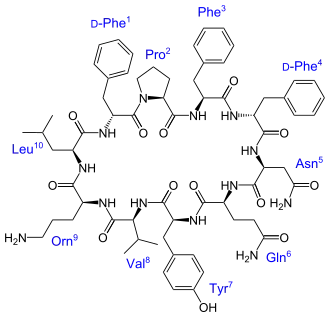Image illustrative de l’article Tyrocidine