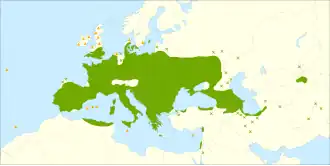 Description de l'image Ulmus minor range.svg.